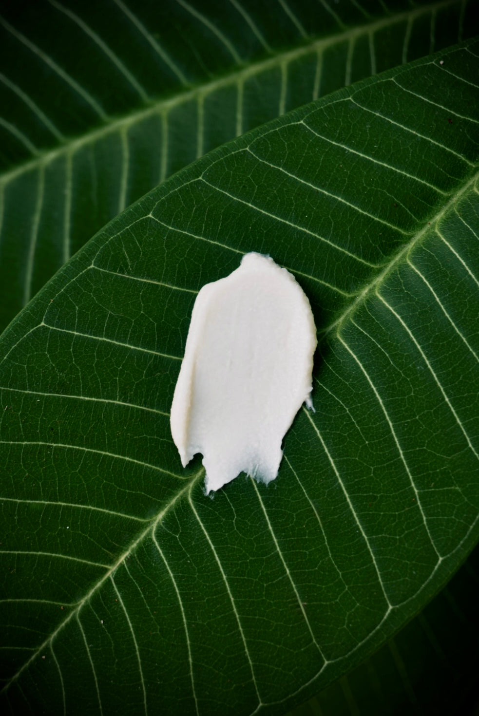 ORGANIC DEODORANT CREAM